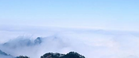 有道词典笔和阿尔法蛋选哪个好